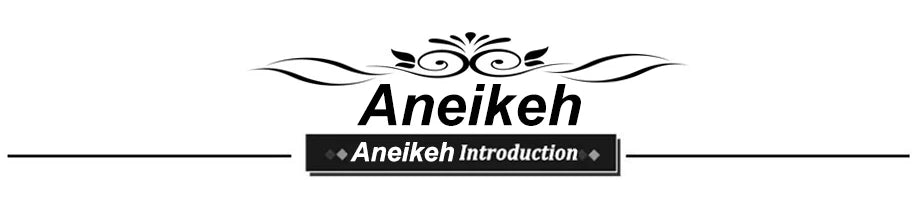 Aneikeh Sexy Silver Sequin rhinestone PVC Slippers For Women Square Toe Strange High Heels Sandals Summer Fashion Party Shoes